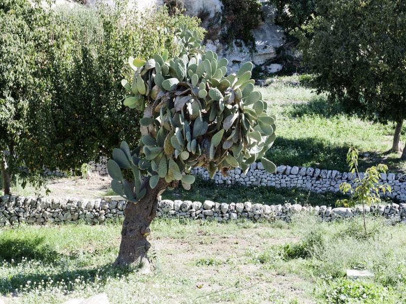 Valle Dell'Acanto Modica Eksteriør billede